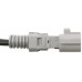 NGK Canada Spark Plugs 24784