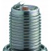 NGK Canada Spark Plugs R6061-10 (5962)